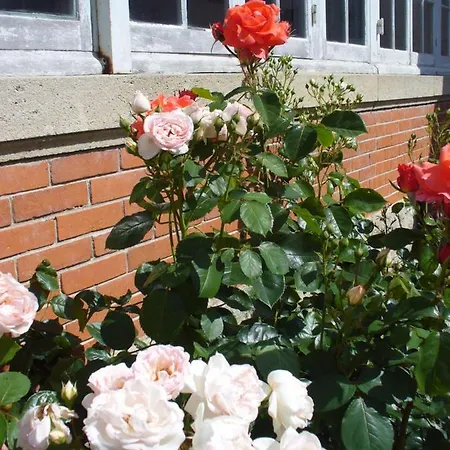 Au Clos Magnolia 3*